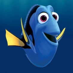 Rencontre avec Dory !